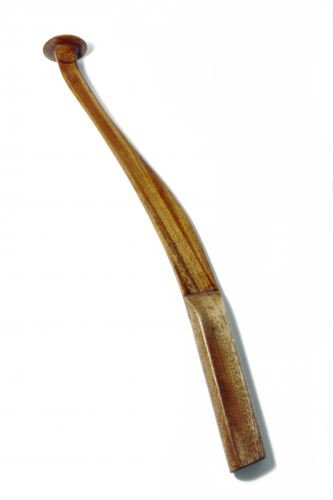ZFISH BUČKA